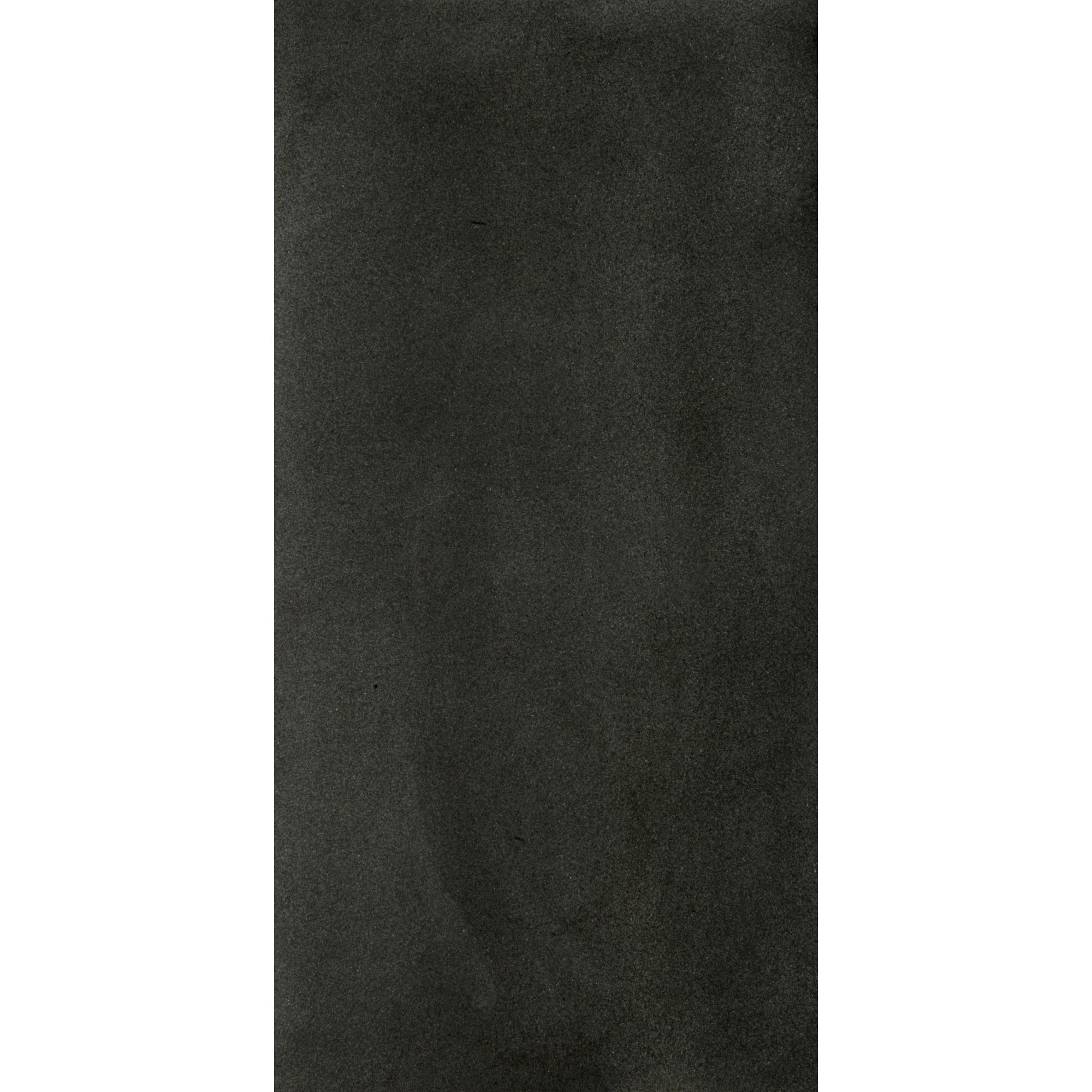 Emser Tile Granite 12" x 24" Field Tile in Absolute Black Honed